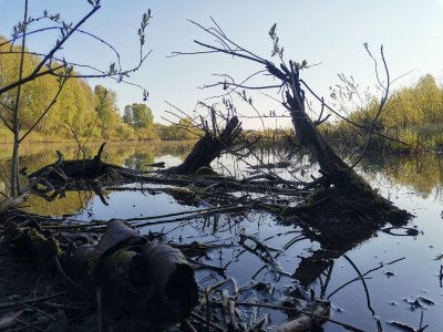 Утро 28-го: окуни и пейзажи...