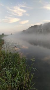 После дождика Плотва 🎣