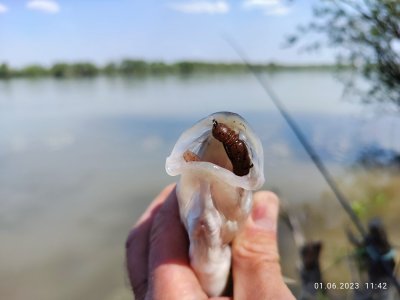 Отводной поводок на реке.