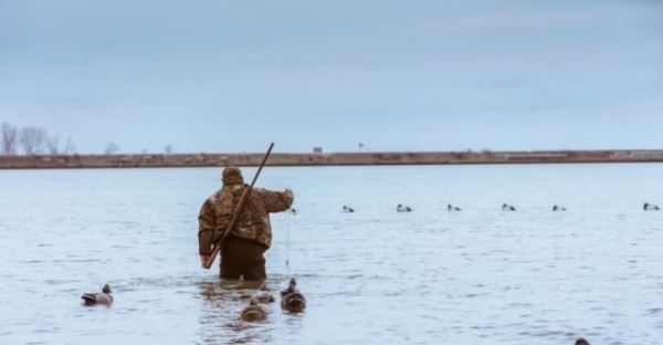 Девять тысяч разрешений и более тысячи отказов — итоги весенней охоты в Новосибирской области 