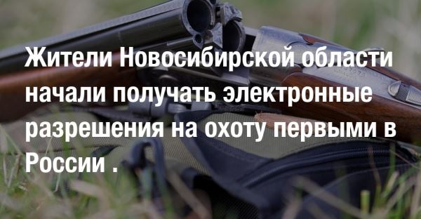 Жители Новосибирской области начали получать электронные разрешения на охоту первыми в России . 