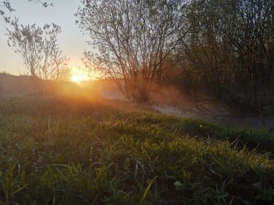 Утро 28-го: окуни и пейзажи...