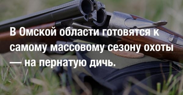 В Омской области готовятся к самому массовому сезону охоты — на пернатую дичь. 