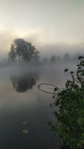 После дождика Плотва 🎣